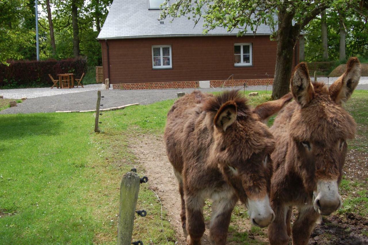 Gites La Charretterie Ourville-en-Caux المظهر الخارجي الصورة